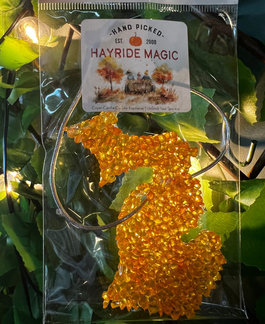 Aroma Bead Air Fresheners - MI Made