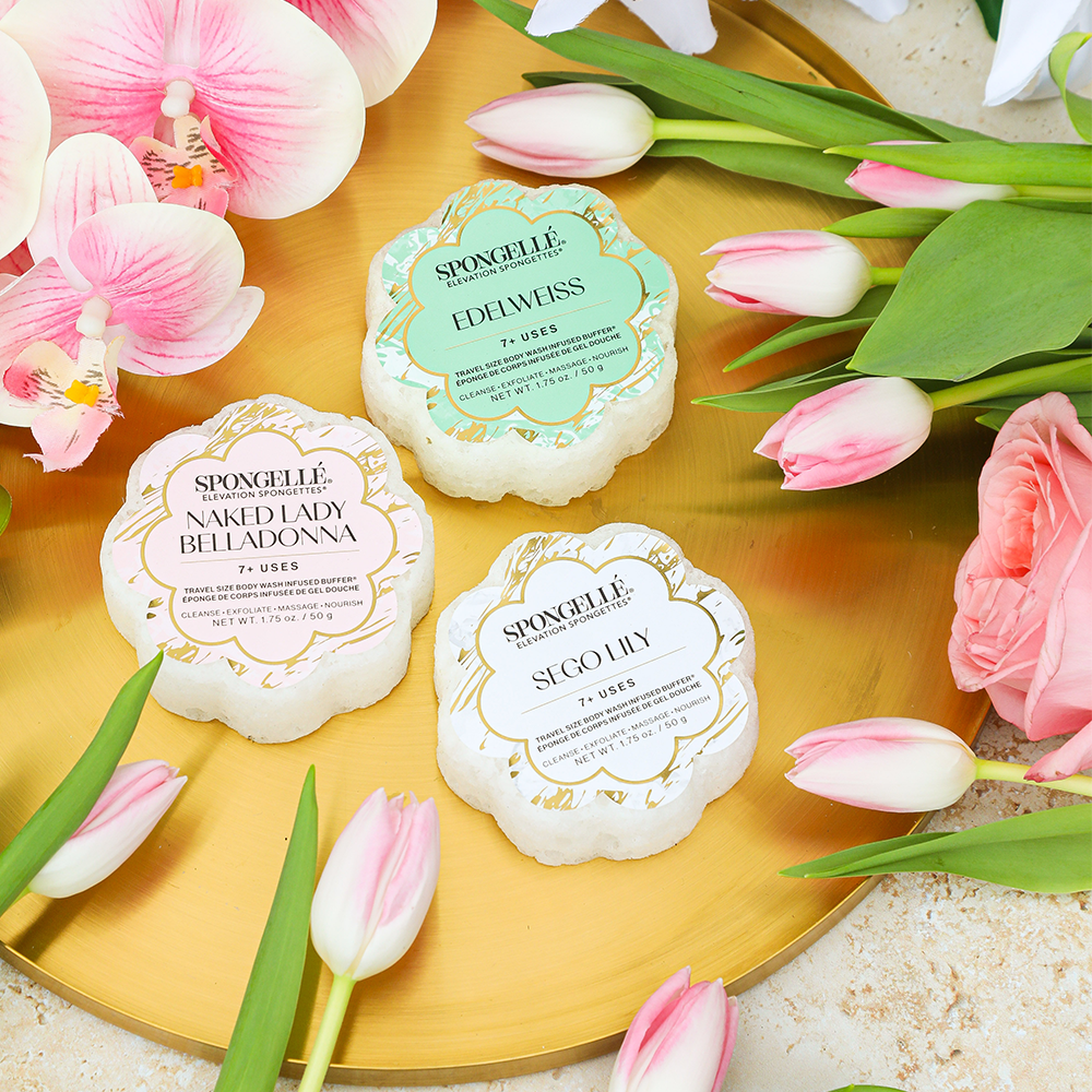 Elevation Spongette infused sponges