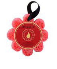 Infused Flower Sponges