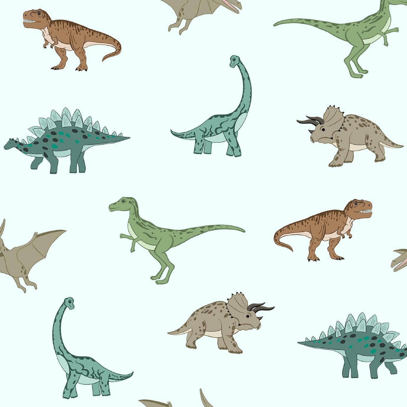Organic Cotton Sleep Sack 0.5 TOG Dinosaur