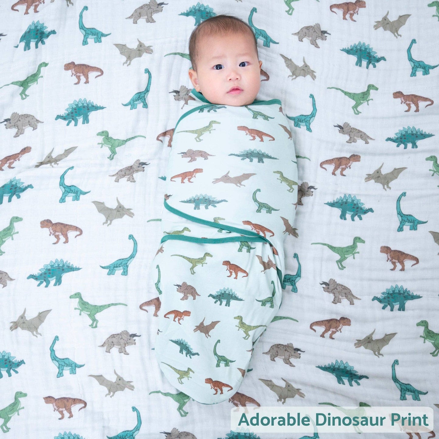 Cotton Velcro Newborn Swaddle Sack Dinosaur