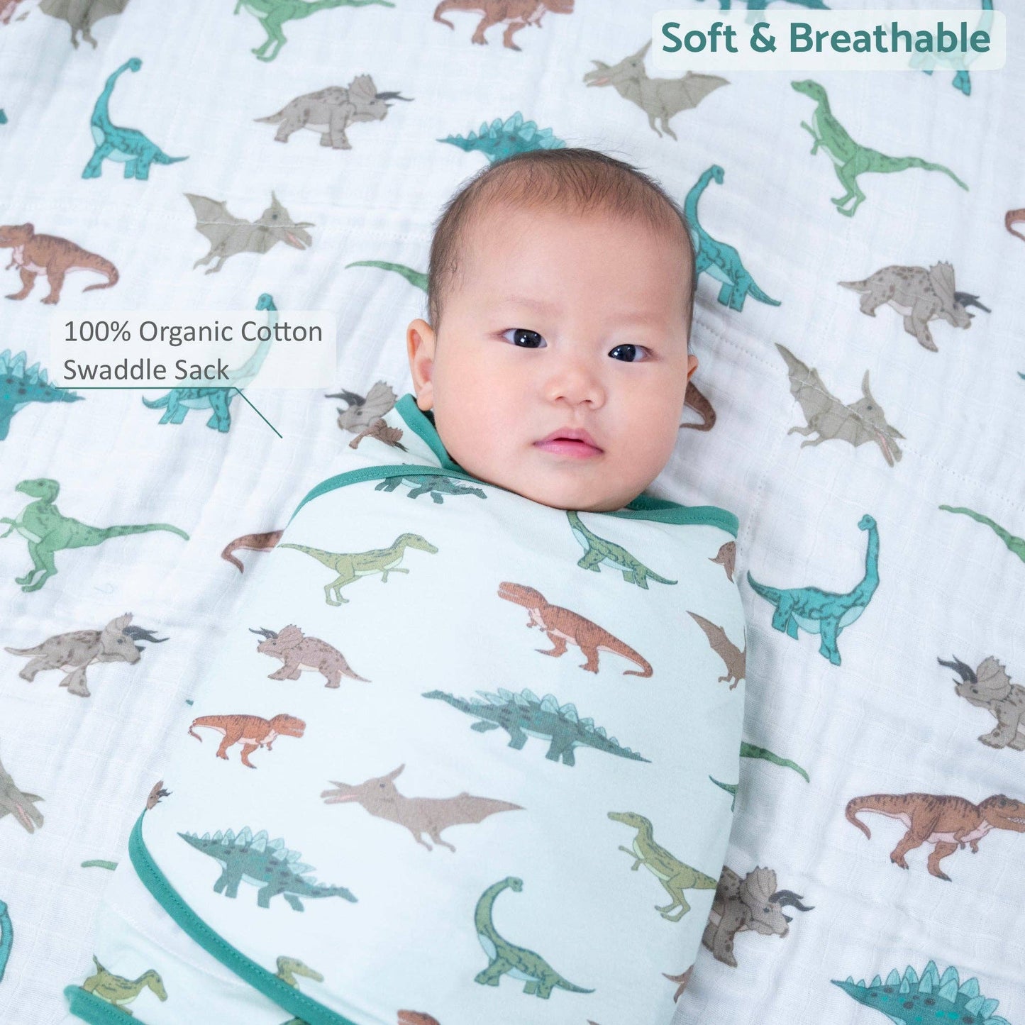 Cotton Velcro Newborn Swaddle Sack Dinosaur
