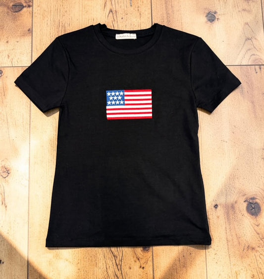 USA flag crewneck tee