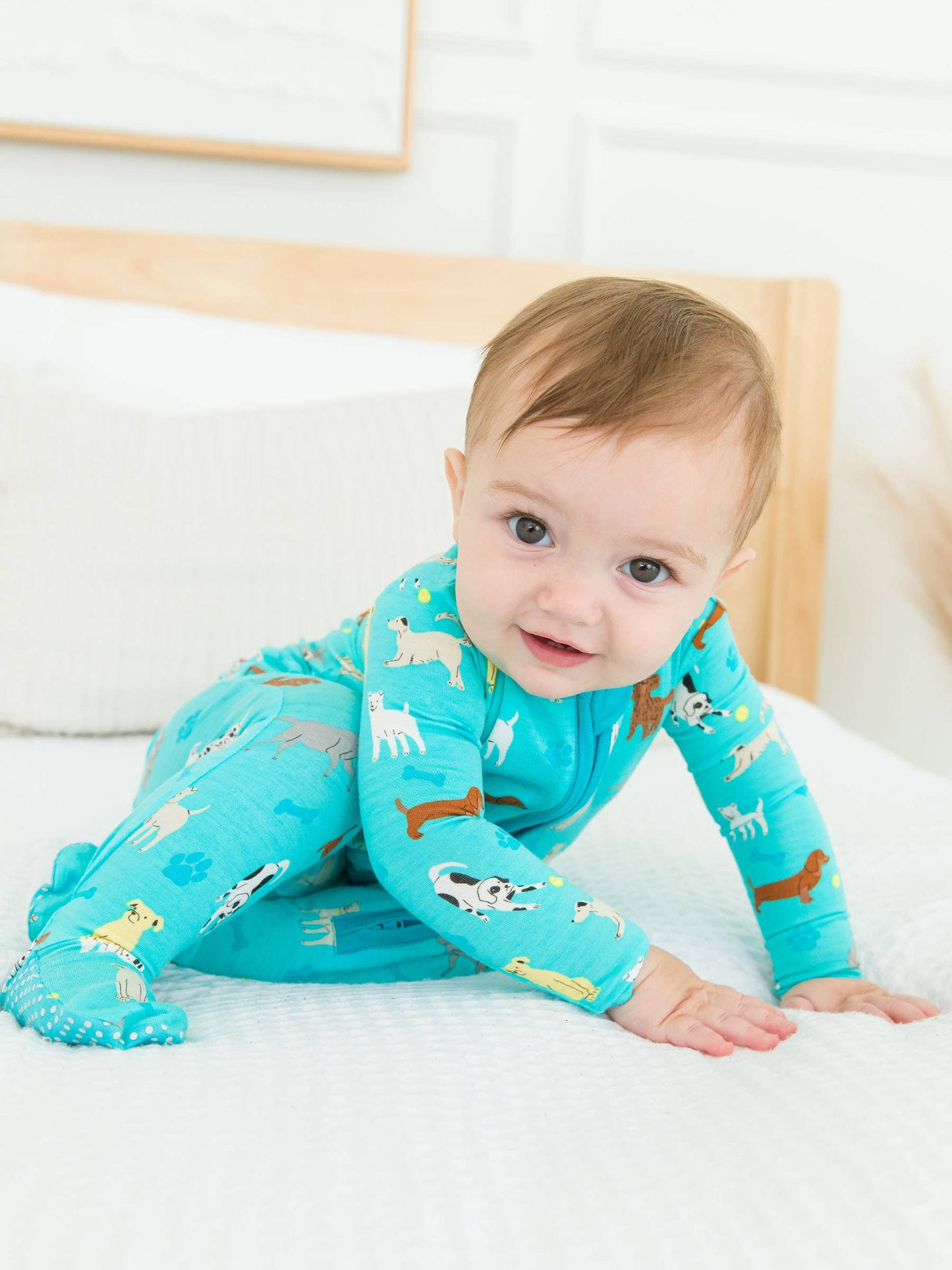 Boys Puppy Playtime Footed One Piece Pajama